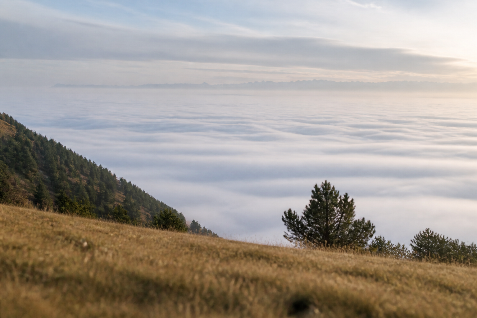 Nappe de brouillard de rayonnement remplissant le fond d'une vallée au lever du jour, les sommets boisés émergeant au-dessus
