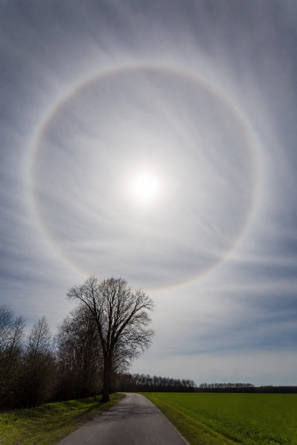 Voile laiteux de cirrostratus couvrant tout le ciel, le soleil restant visible à travers lui