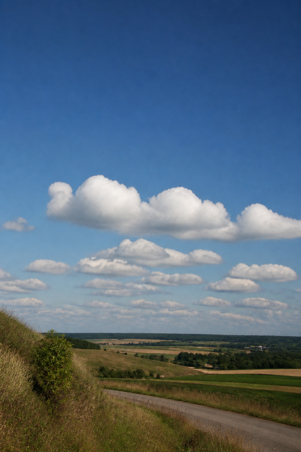 Champ de petits cumulus de beau temps à base plate alignés au-dessus d'une plaine cultivée