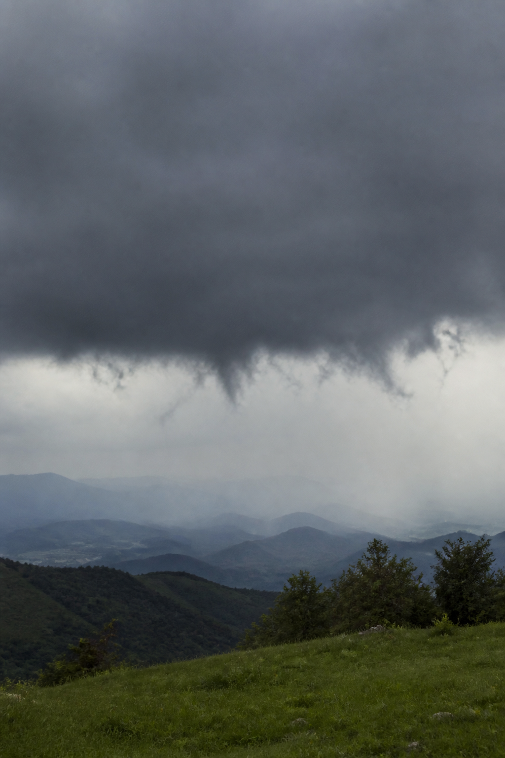 Couche épaisse et sombre de nimbostratus donnant une pluie continue, avec des lambeaux gris déchiquetés courant sous sa base